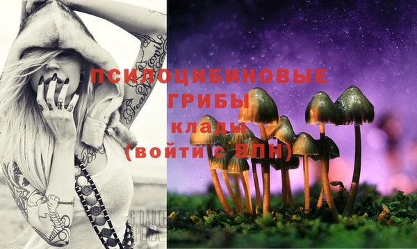винт Чегем