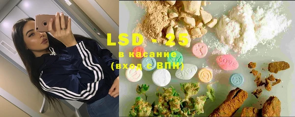 винт Чегем